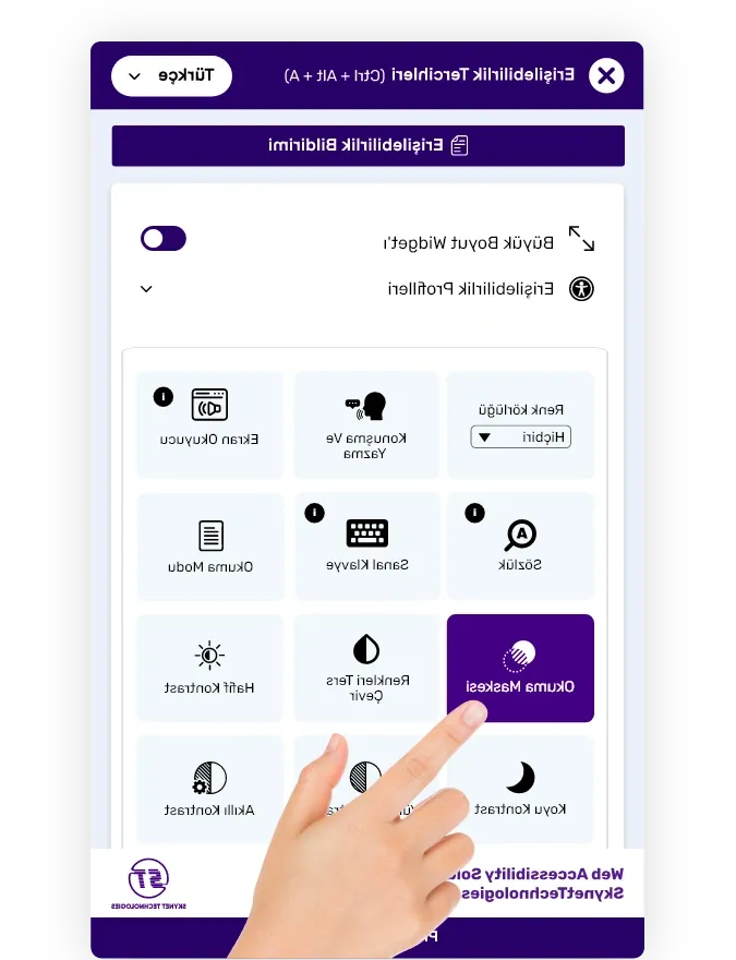 Turkish website accessibility solution